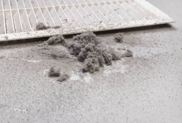 Best Affordable HVAC Duct Cleaning  in Gholson, TX